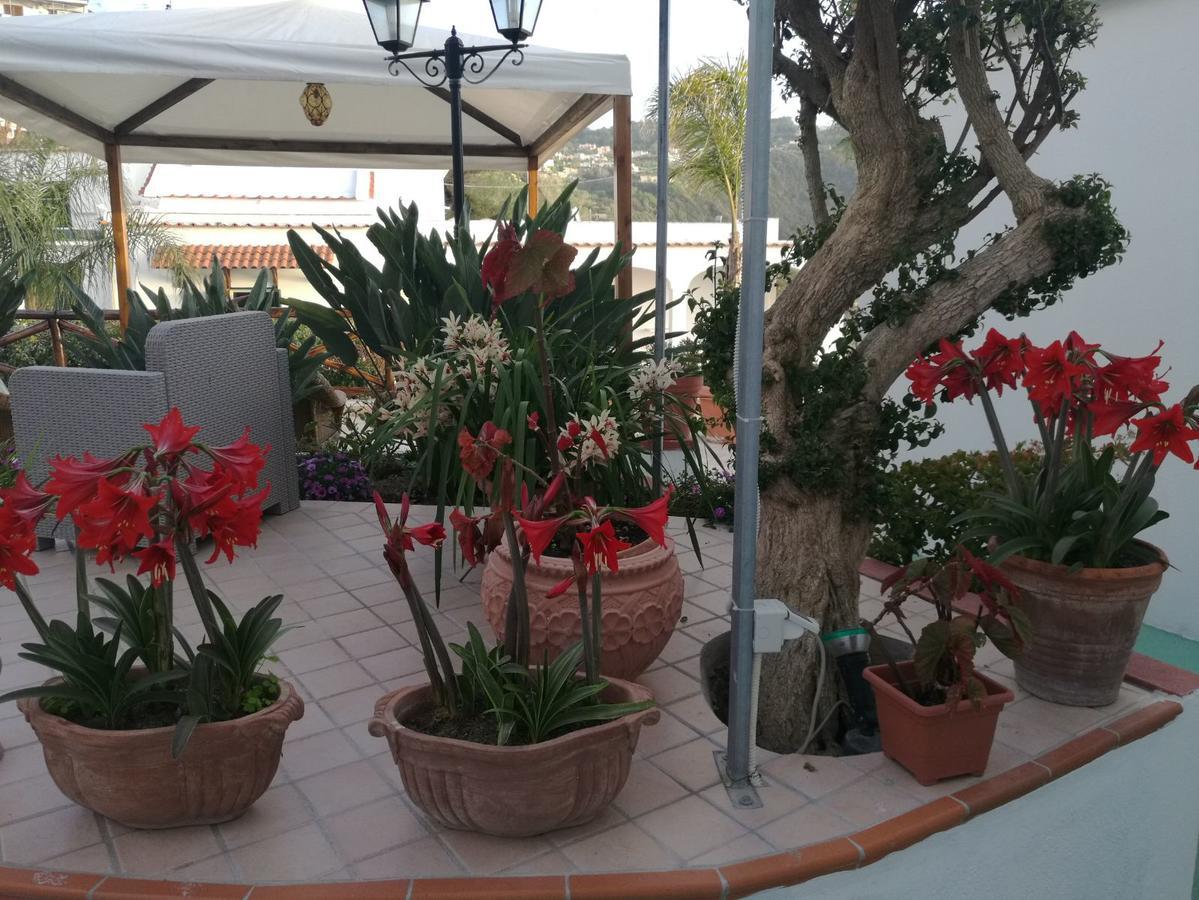 Villa Loreta Forio di Ischia Екстериор снимка