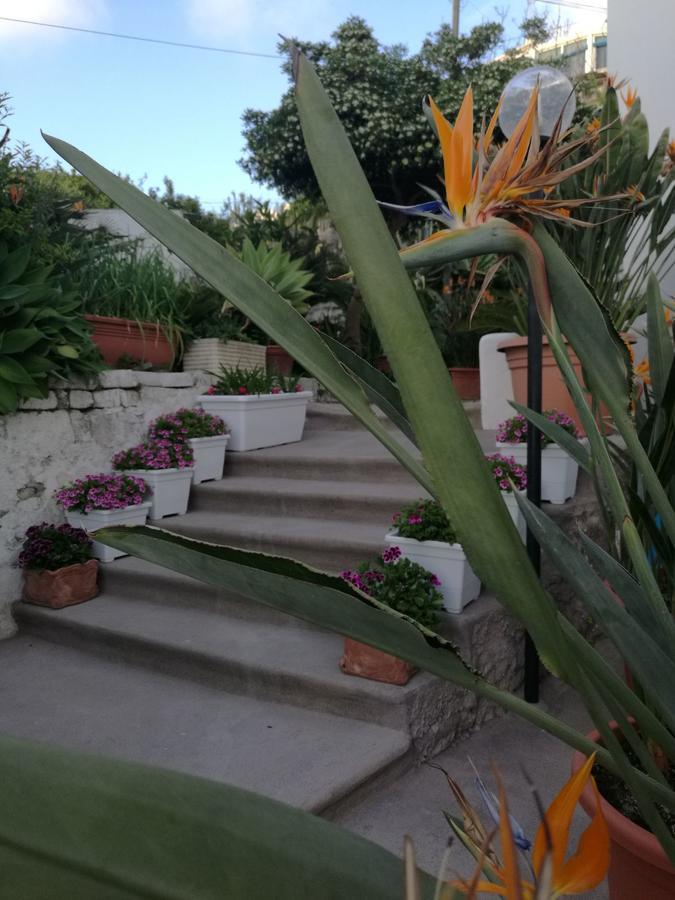 Villa Loreta Forio di Ischia Екстериор снимка