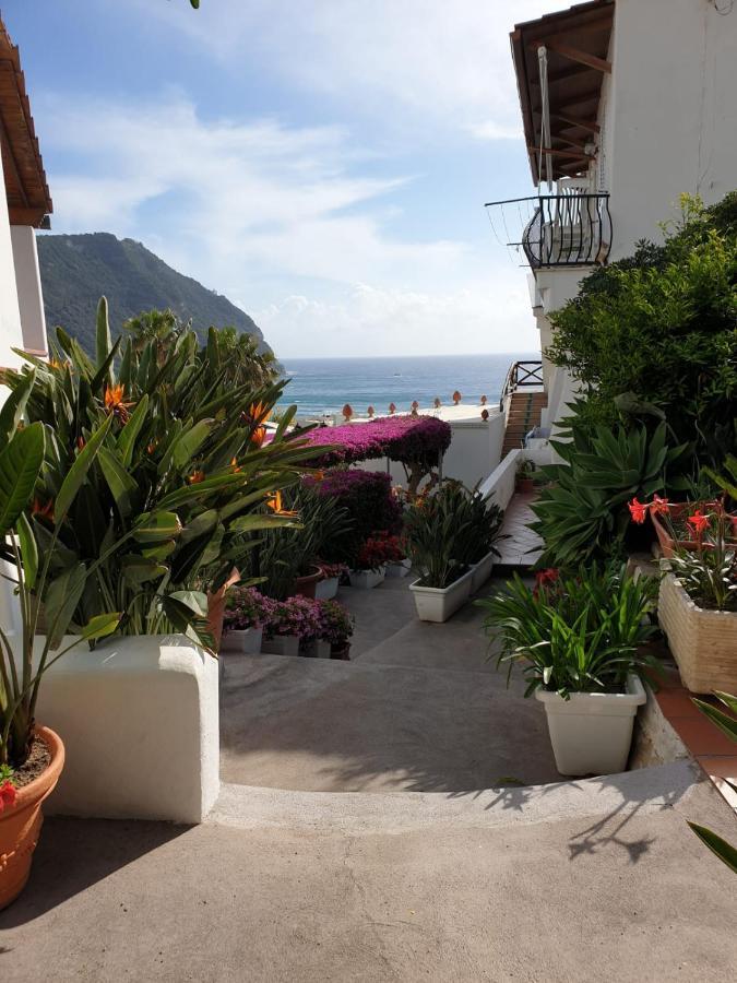 Villa Loreta Forio di Ischia Екстериор снимка