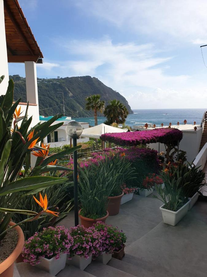 Villa Loreta Forio di Ischia Екстериор снимка